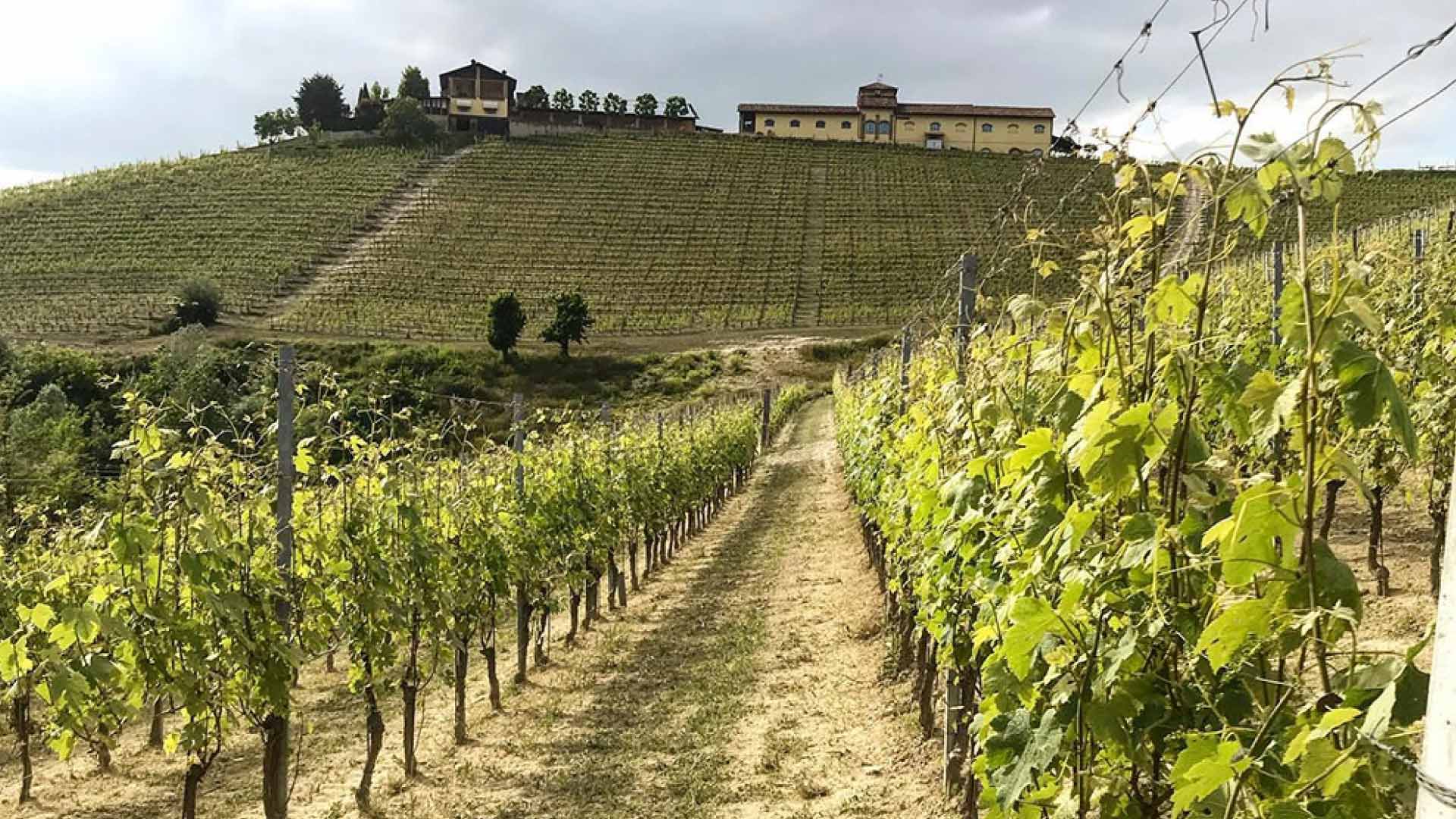 Tenuta Rocca