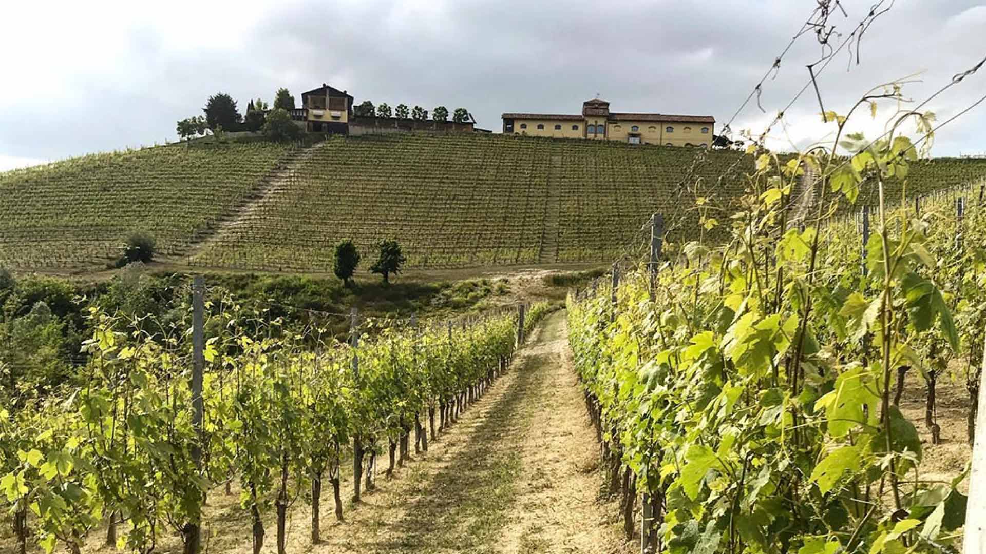 Tenuta Rocca