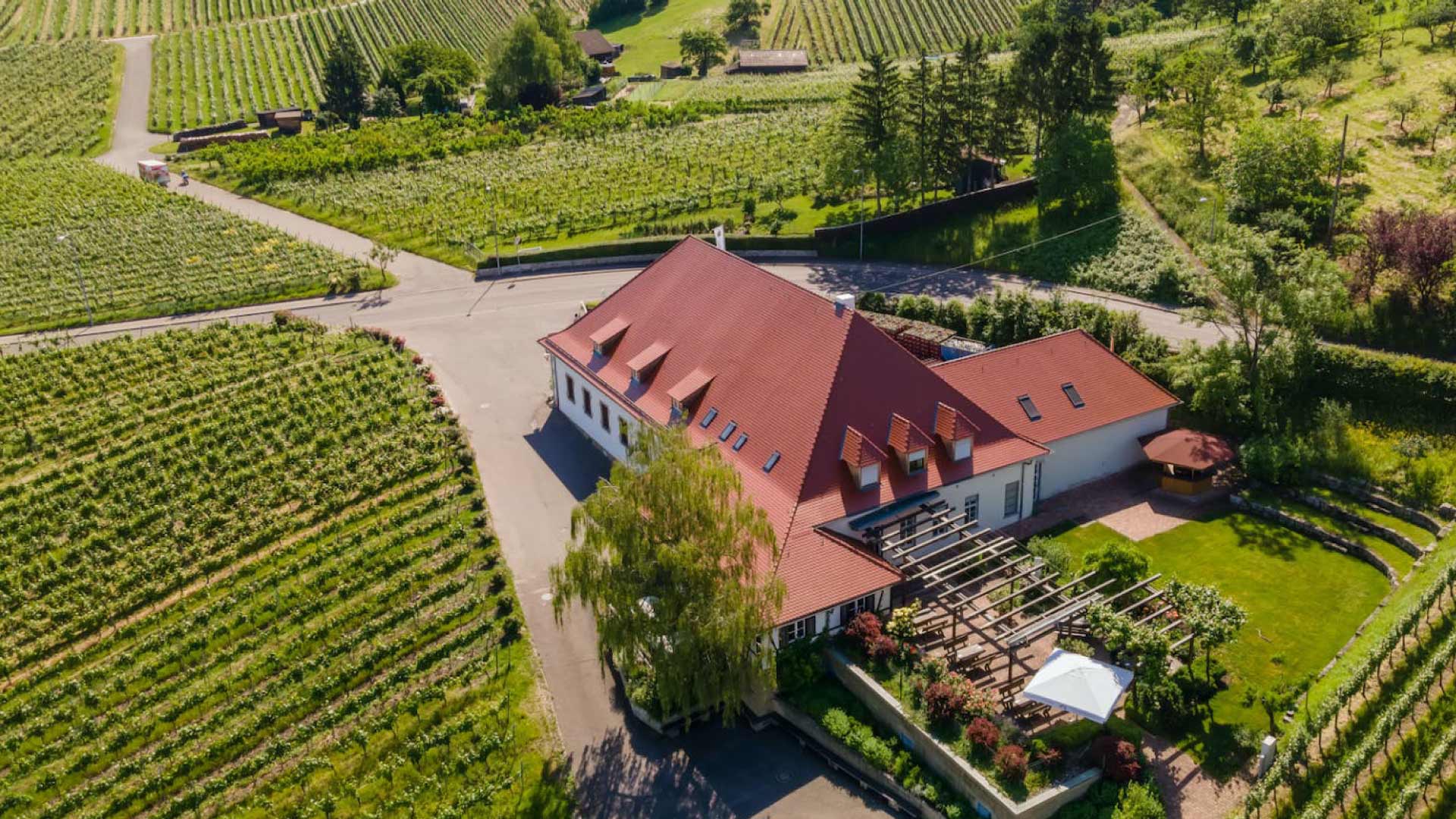 Collegium Wurtemberg