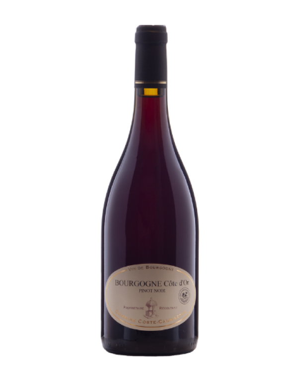 Bourgogne Côte D’Or Pinot Noir
